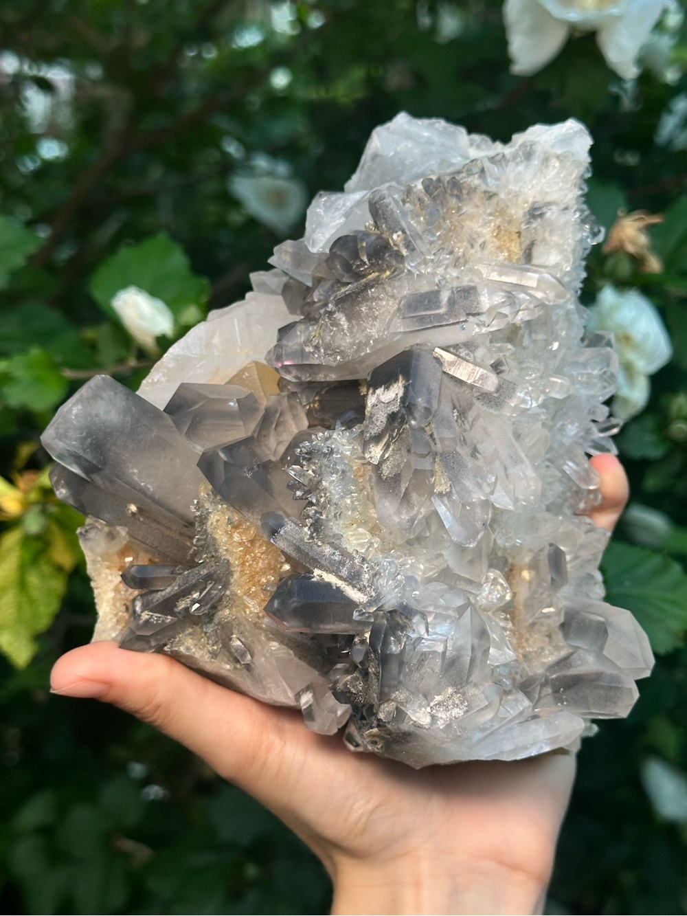 Arkansas Grey Lithium Quartz Cluster 🫧🩶🫧 ALQ3
